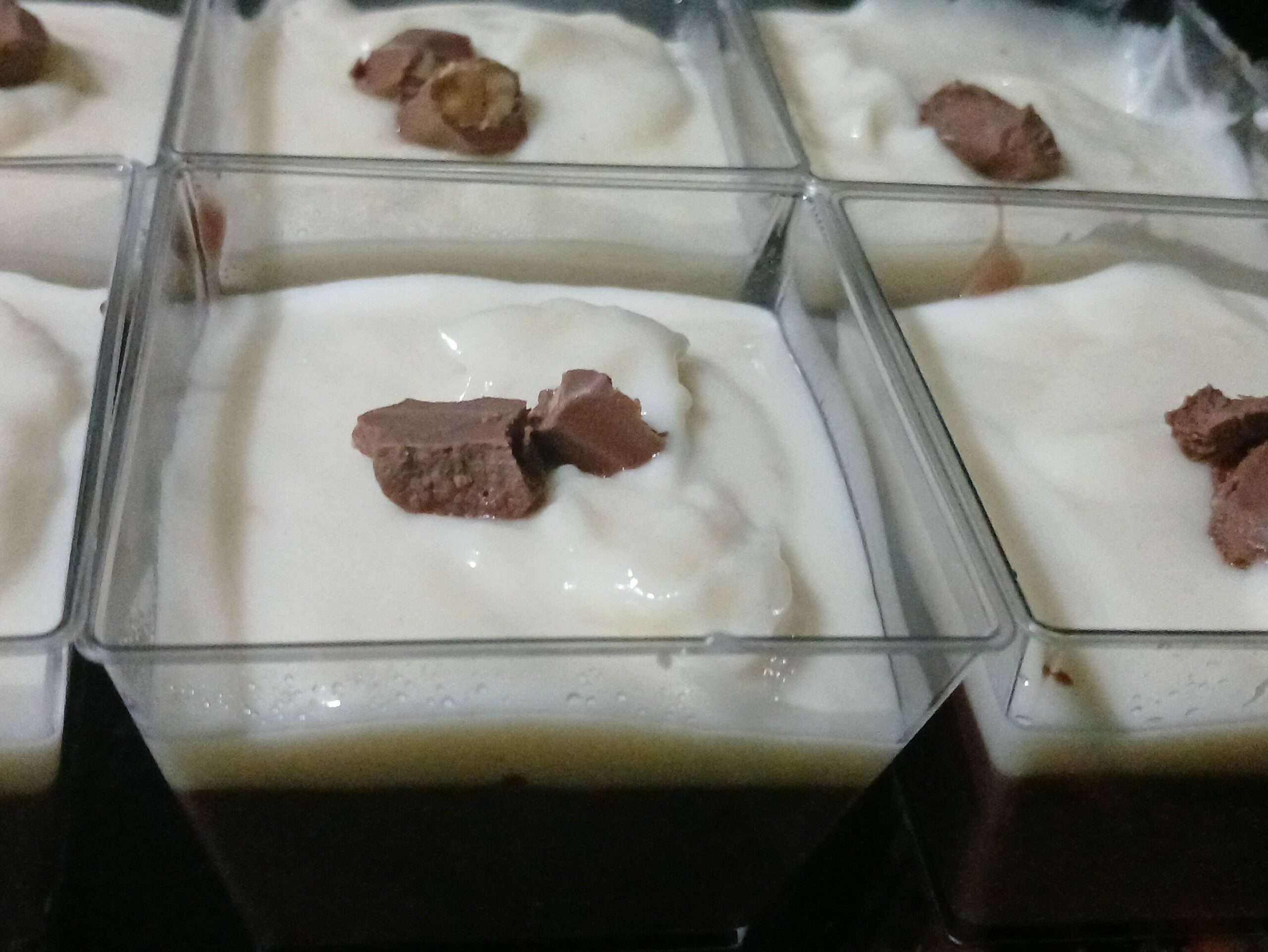 puding coklat-puddi pals
